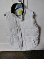 Bijna nieuwe witte bodywarmer maat 38, Maat 38/40 (M), Wit, Zo goed als nieuw, Lemon&Soda