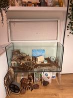 Hamster kooi/aquarium, Dieren en Toebehoren, Knaagdieren en Konijnen | Hokken en Kooien, Kooi, Minder dan 60 cm, Ophalen of Verzenden