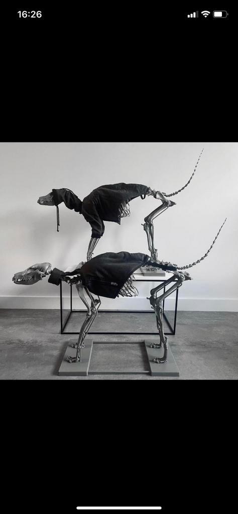 skeleton dogs uit de art of RAW series, Verzamelen, Poppetjes en Figuurtjes, Zo goed als nieuw, Ophalen