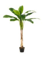 kunst banana tree 150cm, Huis en Inrichting, Kamerplanten, Ophalen of Verzenden, Halfschaduw, 150 tot 200 cm