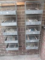 5 dlg broedtoren    metaal, Ophalen, Nieuw, Metaal, Vogelkooi