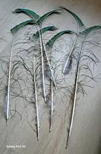 Nieuw 7 stuks pauwen staart veren  zie foto, Huis en Inrichting, Ophalen, Nieuw