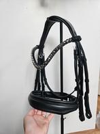 NIEUW Stang en trens hoofdstel maat FULL, Dieren en Toebehoren, Ophalen of Verzenden, Nieuw, Dressuur