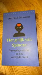 Antonio Damasio - Het gelijk van Spinoza, Antonio Damasio, Ophalen of Verzenden