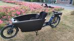 Dolly bakfiets, Overige merken, Zo goed als nieuw, Ophalen