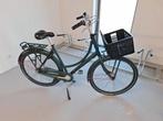 Damesfiets Batavus Diva 7 - mat groen met felroze accenten, Fietsen en Brommers, Ophalen, Versnellingen, Batavus, 56 cm of meer