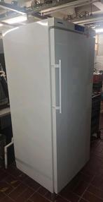 Liebherr Profiline Gkv 5710 Gastronomie, Witgoed en Apparatuur, Koelkasten en IJskasten, Ophalen, 200 liter of meer, 60 cm of meer