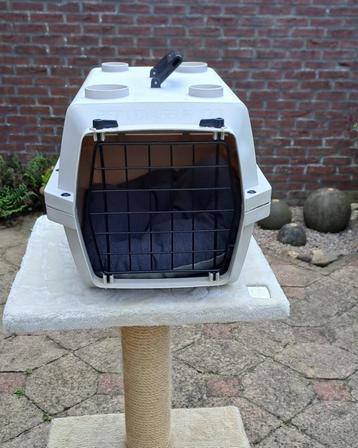 Kattenreismand of vervoersbox met kussentje voor uw kat. beschikbaar voor biedingen