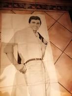 Poster Rex Gildo, Ophalen of Verzenden, 1960 tot 1980, Gelopen, Muziek