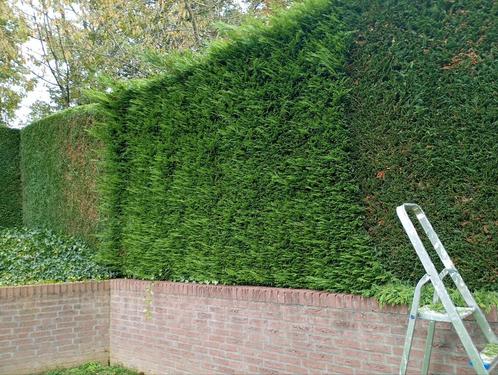 RB Huis- en Tuininrichting, Diensten en Vakmensen, Tuinmannen en Stratenmakers