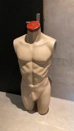 Paspop buste man, Hobby en Vrije tijd, Ophalen of Verzenden, Gebruikt, Paspop
