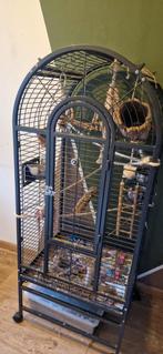 Papagaaien vogelkooi, Dieren en Toebehoren, Ophalen, Zo goed als nieuw, Metaal, Vogelkooi