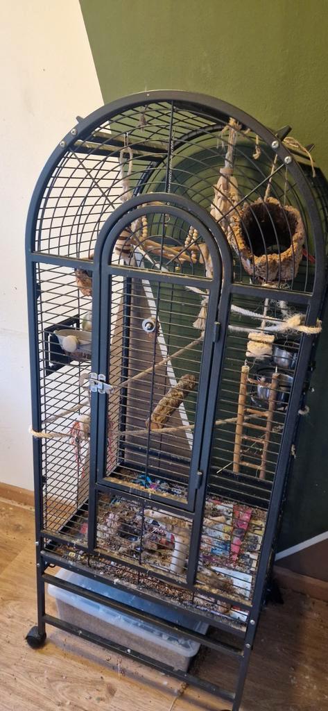 Papagaaien vogelkooi, Dieren en Toebehoren, Vogels | Hokken en Kooien, Zo goed als nieuw, Vogelkooi, Metaal, Ophalen