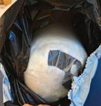 Kussen nieuw, Eenpersoons, Wit, Nieuw, Ophalen of Verzenden