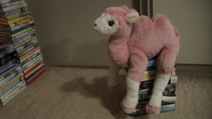 Kameel knuffel, Kinderen en Baby's, Speelgoed | Knuffels en Pluche, Zo goed als nieuw, Overige typen, Ophalen of Verzenden