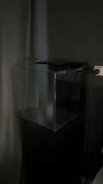 Blue marine 60 reef met kast, Dieren en Toebehoren, Ophalen of Verzenden, Zo goed als nieuw, Leeg aquarium
