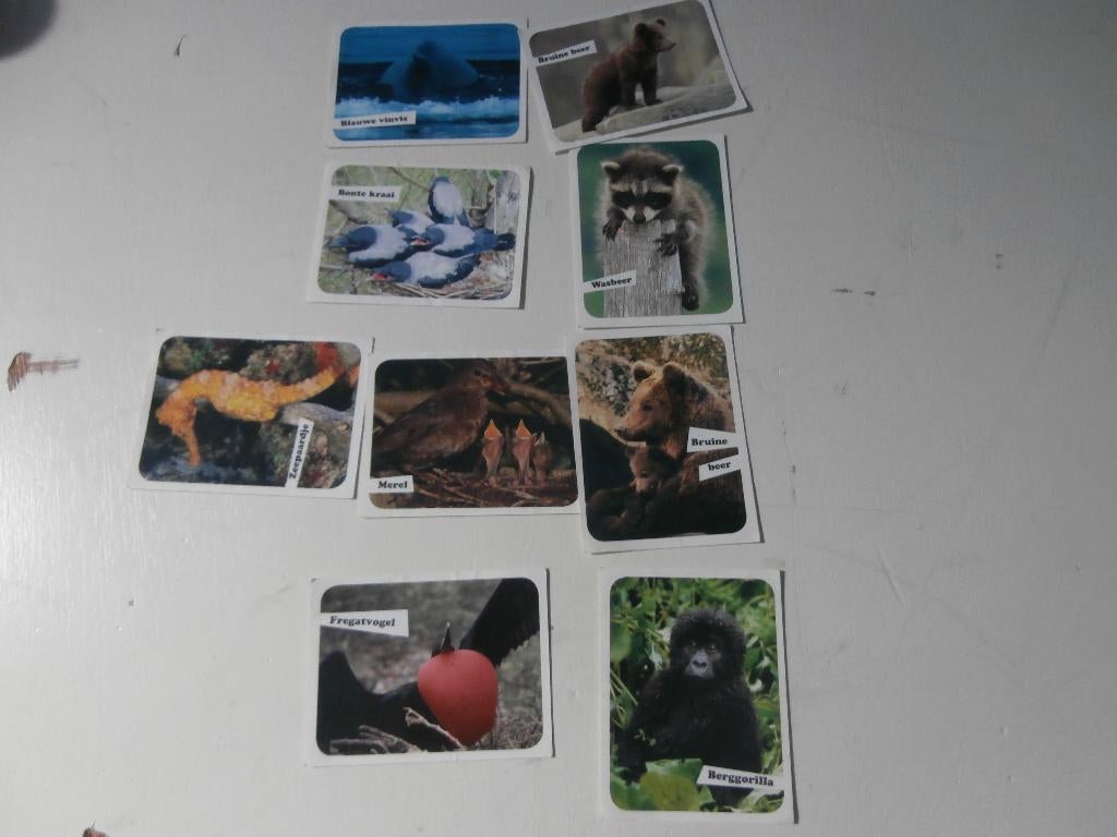 dierenplaatjes WWF dierenwereld Wereld Natuur Fonds plaatjes, Verzamelen, Supermarktacties, Albert Heijn, Ophalen of Verzenden