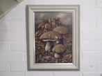 Schilderij Paddenstoelen. Gesigneerd Kees Houtman, Heeze., Verzenden