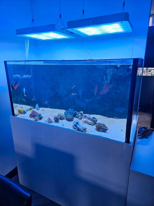 Royal exclusive aquarium te koop met dreambox, Dieren en Toebehoren, Vissen | Aquaria en Toebehoren, Gebruikt, Leeg aquarium, Ophalen of Verzenden