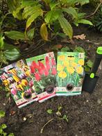 Tulipa bloembollen mix - 24 bollen - Met schepje, Verzenden, Najaar, Halfschaduw, Bloembol