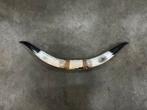 Longhorn, Bullbar 120 cm mancave texas Longhorn, Ophalen, Nieuw, Overige soorten, Gewei of Kop