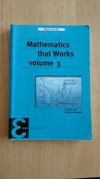 Mathematics that Works Volume 3 ISBN 9789050411691, Ophalen, WO, Zo goed als nieuw, Maarten de Gee