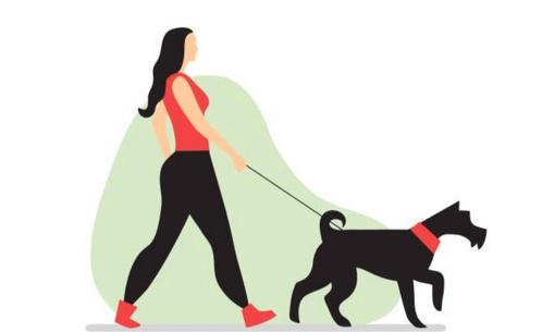 Honden uitlaten, Dieren en Toebehoren, Honden-accessoires, Zo goed als nieuw, Ophalen of Verzenden
