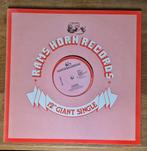 12" ramsh 12-3136  the flirts  passion, Verzenden, 1980 tot 2000, Zo goed als nieuw