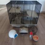 Nette hamsterkooi te koop, Dieren en Toebehoren, Kooi, Gebruikt, Minder dan 75 cm, Hamster