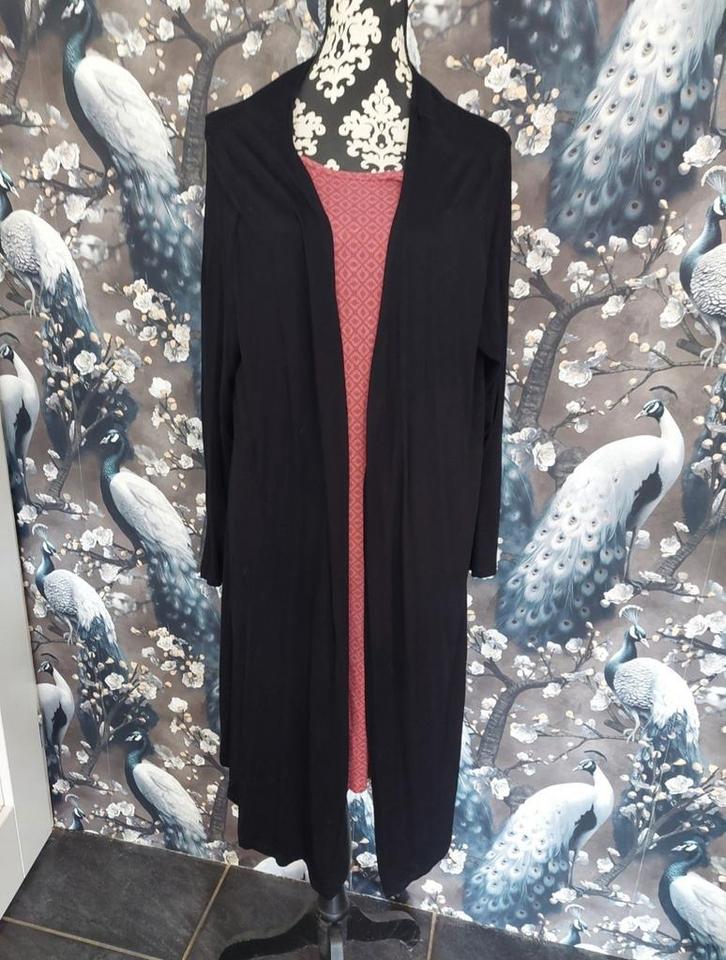 Te koop dit leuke jurk/vest, Kleding | Dames, Overige Dameskleding, Gedragen, Ophalen of Verzenden