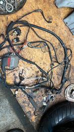 Piaggio quartz kabelboom, Ophalen of Verzenden