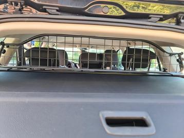 Hondenrek Golf 8 variant  beschikbaar voor biedingen