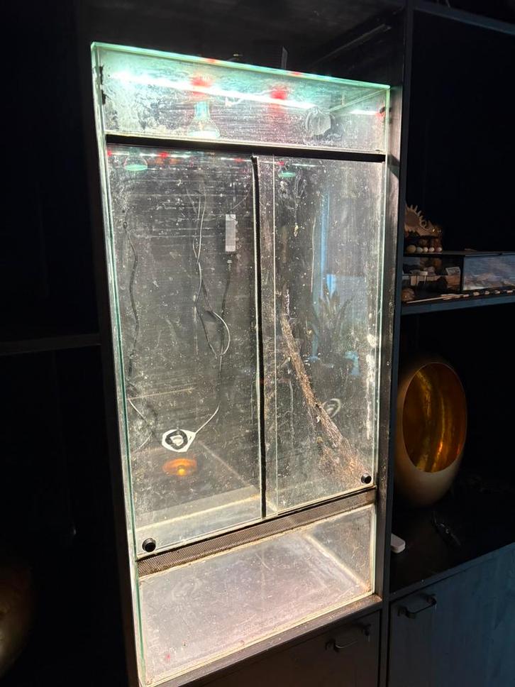 Terrarium 50x50x100 en toebehoren, Dieren en Toebehoren, Reptielen en Amfibieën | Toebehoren, Zo goed als nieuw, Ophalen