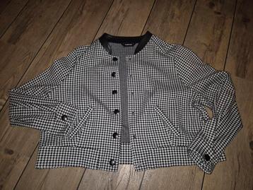 Taifun Jasje Pepita Maat 46 beschikbaar voor biedingen