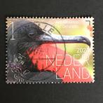2088 Nederland 2024 Vogels Bonaire - Fregatvogel- gestempeld, Postzegels en Munten, Postzegels | Nederland, Ophalen of Verzenden