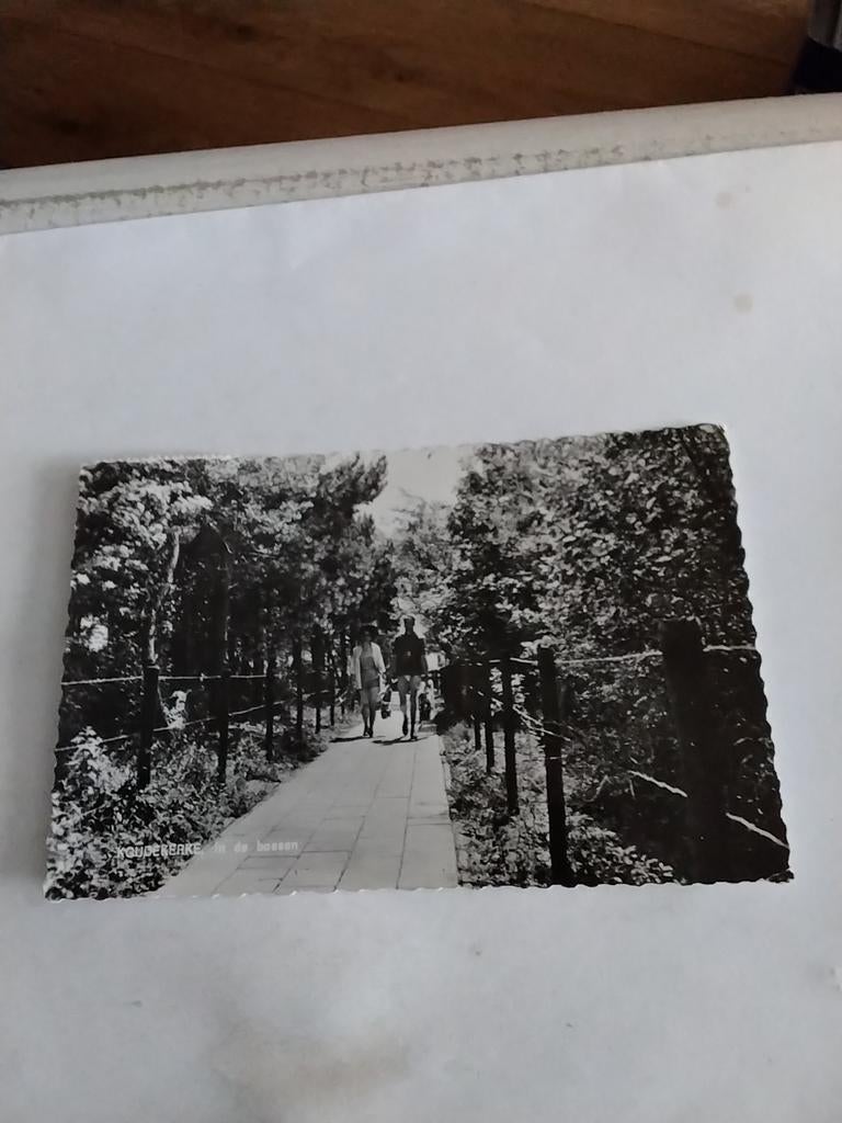 KOUDEKERKE. IN DE BOSSEN, Verzamelen, Ansichtkaarten | Nederland, Ophalen of Verzenden, Voor 1920, Zuid-Holland
