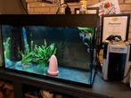 Aquarium juwel inc buiten filter, Dieren en Toebehoren, Ophalen of Verzenden, Gebruikt, Leeg aquarium