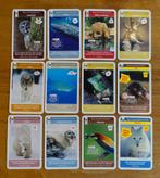 AH plaatjes - super dieren, Verzamelen, Supermarktacties, Albert Heijn, Ophalen of Verzenden