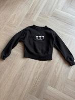 Zara sweater ballet, in nieuwstaat, Kinderen en Baby's, Kinderkleding | Maat 122, Ophalen, Meisje, Trui of Vest, Zo goed als nieuw
