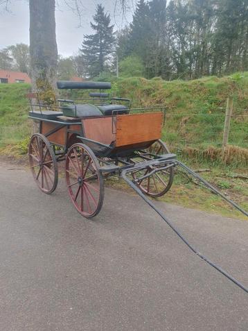 Te koop marathonwagen recreatiewagen voor grote paarden  beschikbaar voor biedingen