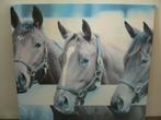 Mooi paardenschilderij 58x58, Ophalen of Verzenden, Zo goed als nieuw, Wanddecoratie