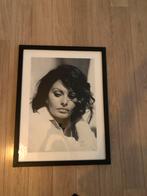 Schilderij Sophia Loren van RM 65cm x 85cm ingelijst, Huis en Inrichting, Woonaccessoires | Schilderijen, Tekeningen en Foto's