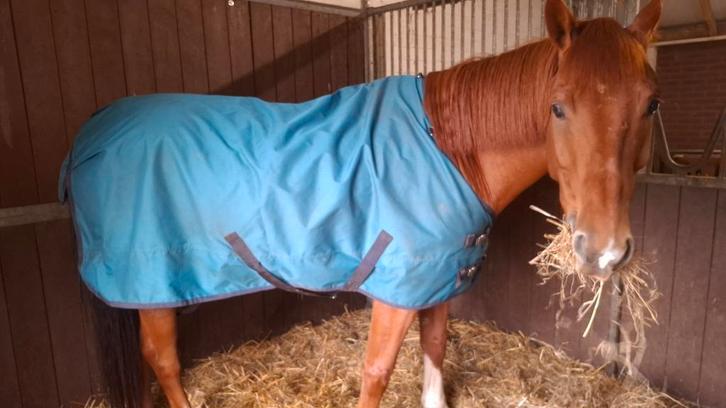 Deken Epplejeck Rindal 0gr Middenblauw - maat175, Dieren en Toebehoren, Paarden en Pony's | Dekens en Dekjes, Gebruikt, Deken
