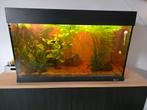 Ferplast Dubai 80 LED Zwart, Dieren en Toebehoren, Vissen | Aquaria en Toebehoren, Ophalen, Gebruikt, Gevuld zoetwateraquarium