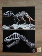 DINOSAURUS 10, Verzamelen, Ansichtkaarten | Dieren, Ophalen, Paard
