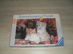 Kitten duet puzzle 500 stukjes, Hobby en Vrije tijd, Denksport en Puzzels, 500 t/m 1500 stukjes, Legpuzzel, Zo goed als nieuw