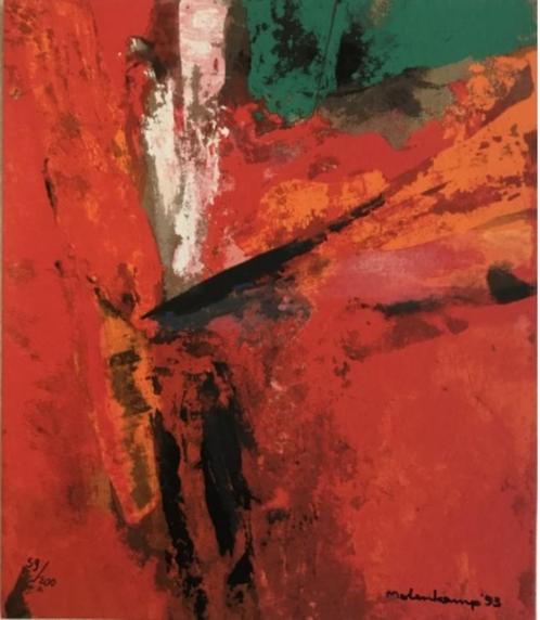 Nico Molenkamp (1920 - 1998) Bijzondere uitgave 'signatuur', Boeken, Kunst en Cultuur | Beeldend, Nieuw, Schilder- en Tekenkunst