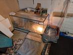 Terrarium, Dieren en Toebehoren, Reptielen en Amfibieën | Toebehoren, Ophalen