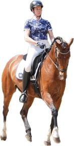 Ervaren instructeur aangeboden, Diensten en Vakmensen, Dieren | Paarden | Verzorging, Oppas en Les
