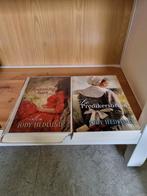 Twee boeken Jody Hedlund, Boeken, Gelezen, Ophalen of Verzenden